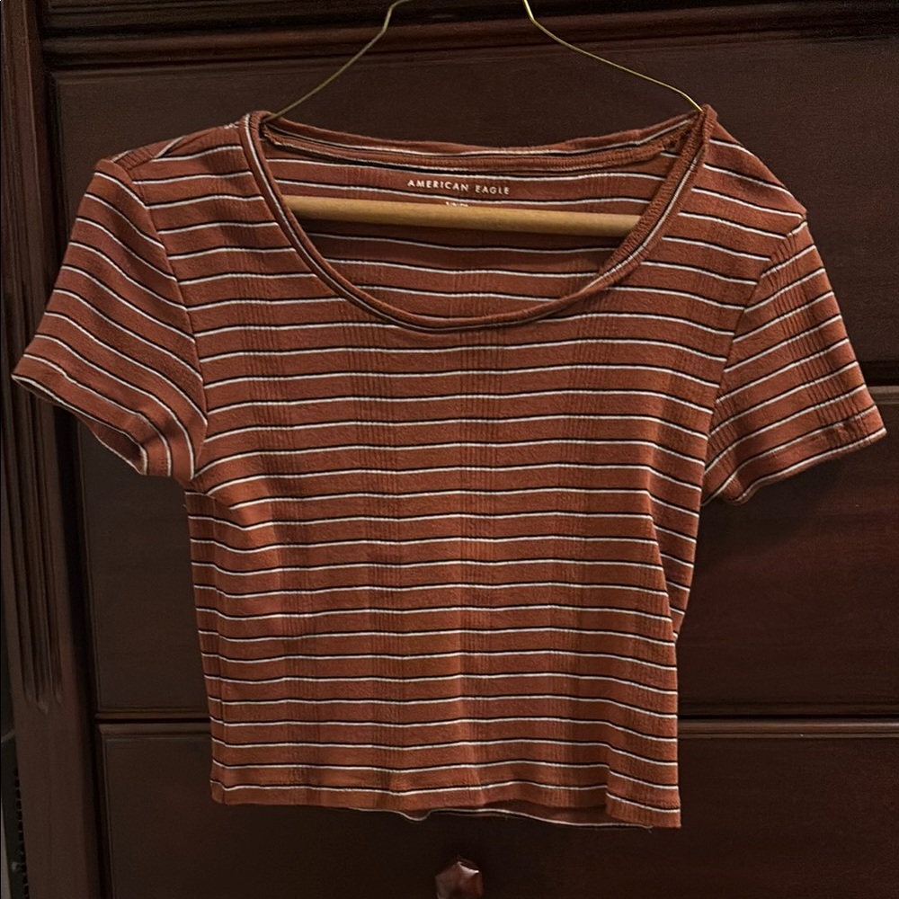 American Eagle Striped Crop Top